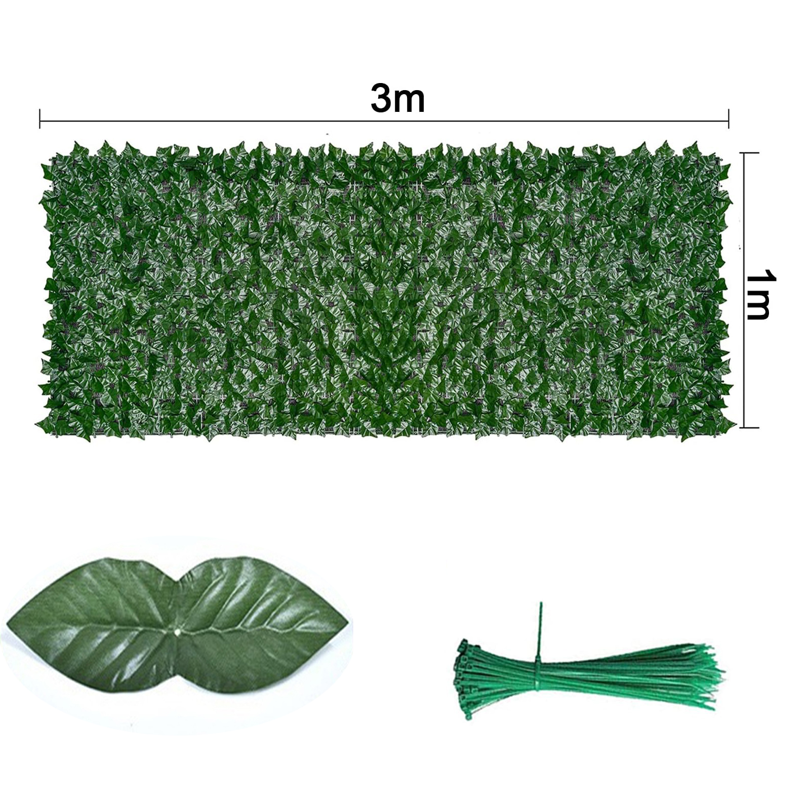 glückskastanie groß kaufen SPECIAL OFFER XXL Glückskastanie 140-150cm – Green Me Up main image 1